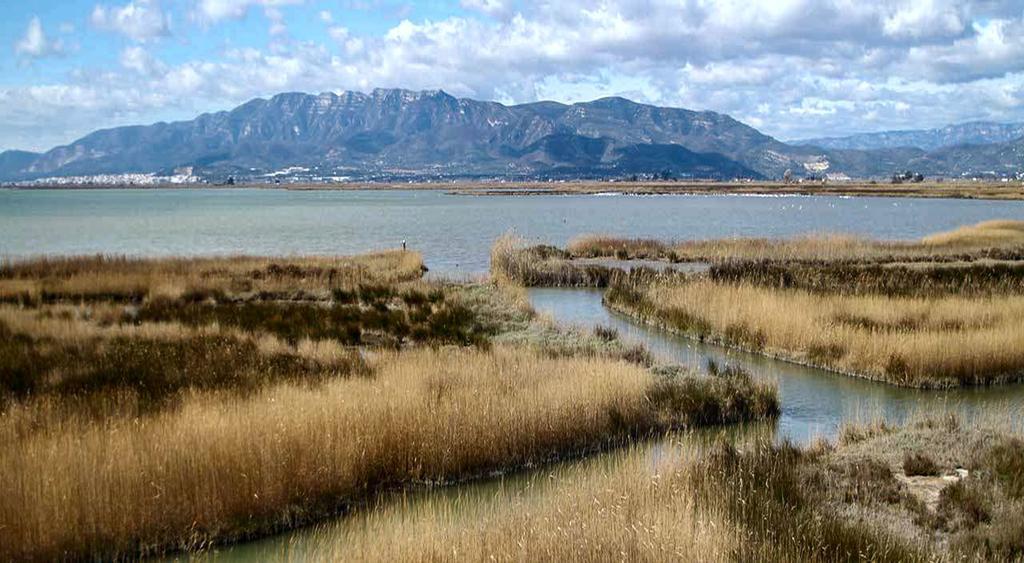 Mi Apartamento En El Delta Del Ebro Deltebre Zewnętrze zdjęcie