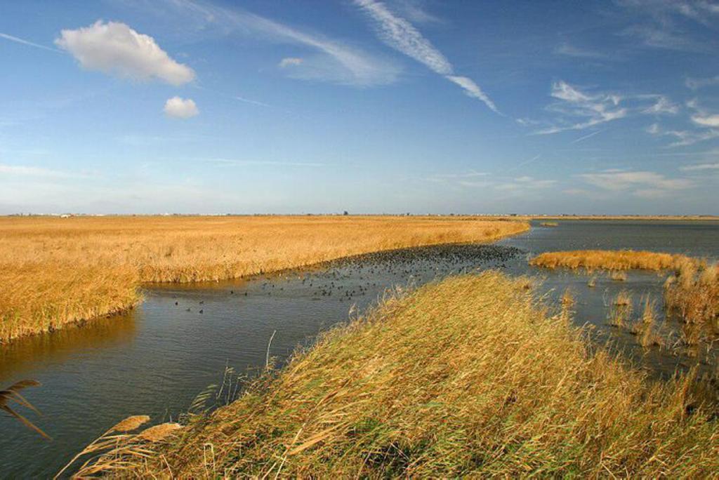 Mi Apartamento En El Delta Del Ebro Deltebre Zewnętrze zdjęcie