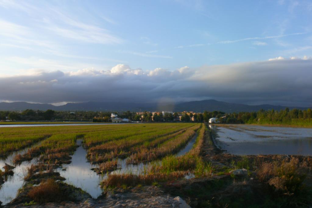 Mi Apartamento En El Delta Del Ebro Deltebre Zewnętrze zdjęcie